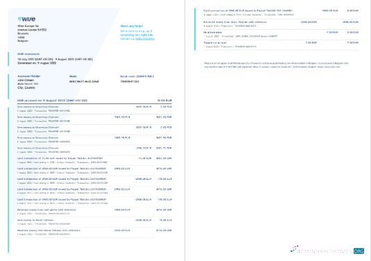 Download Belgium Wise bank statement word 2 pages